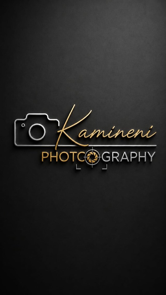 Kamineni Photography logo