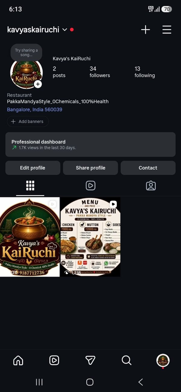 Instagram profile before
